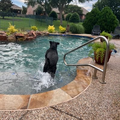 bergmike03's profile picture. 