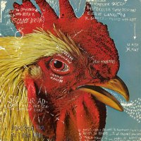 C (@exmagicianstill) 's Twitter Profile Photo