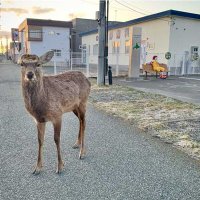 mack (@mack1234567_7) Twitter profile photo