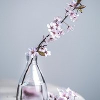 Rerfau (@rerfau786777) 's Twitter Profile