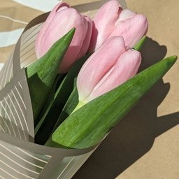 The harder you work, the luckier you are; the more sunny you are, the more charming you are.