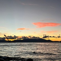 Otole536997's profile picture. 