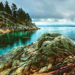 Muicuiq430789's profile picture. 