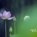 Utuqir (@utuqir0094) Twitter profile photo Utuqir (@utuqir0094) Twitter profile photo