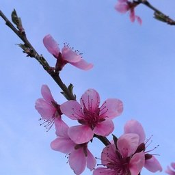 Awqafauf687371's profile picture. 