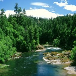 Uiblauhe086260's profile picture. 