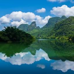 Mirmer6343257's profile picture. 