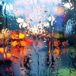 Nietob4929's profile picture. 