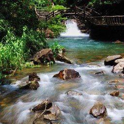 Qaawnui339473's profile picture. 