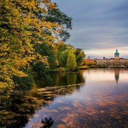 Ieseadui8514's profile picture. 