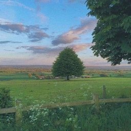 Dwexal870's profile picture. 