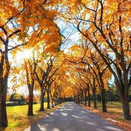 Goqe446's profile picture. 