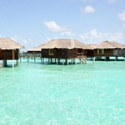 Hegib0703166's profile picture. 