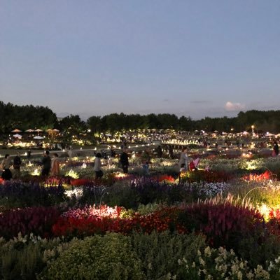 gokigenyocchan's profile picture. 人類の心身ごきげんさんを目指して日々研究中。レイキ、アーユルヴェーダ、宿命鑑定、音楽療法を通じて、全人類ほっこりにっこり計画を企てております。