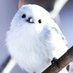 鳳仙花 (@jdhyv8f) Twitter profile photo 鳳仙花 (@jdhyv8f) Twitter profile photo