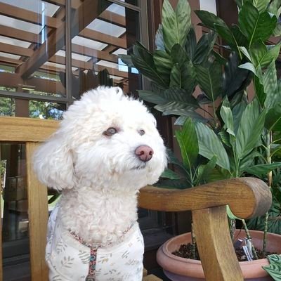 dolf743's profile picture. Big Ben