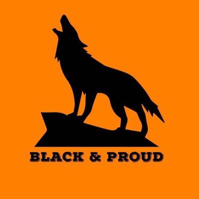 Black and Proud Official Page, Follow For More Best Funny Videos and Post || Best Pet Videos || Best African Videos #BlackandProud