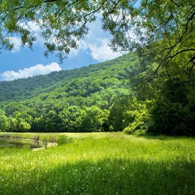 sadsad_5's profile picture. 