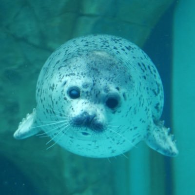 Emc_2__'s profile picture. 