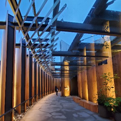 vvmivv_01's profile picture. 写真は、大阪万博 日本館 の出口に向かう道
(私は写ってないです(,,. .,, ))
5月に行ってきました(^-^)
オフィシャルショップの
アクセスパスコードをGETしたものの、
見ることが出来ず、
今日行った人にコード教えて貰えないかと久しぶりに開いてみました。
