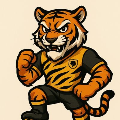 TacTigerFm's profile picture. Football manager player