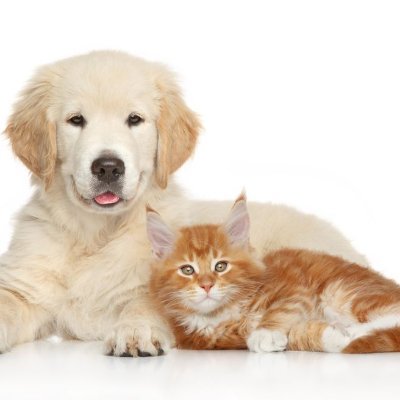 pppppppppp0406's profile picture. #poohpavel #สิงสาลาตาย #GoddessBlessYouFromDeath ทุกวันศุกร์ 22:30 น. ช่องวัน31 ดูเวอร์ชัน UNCUT เวลา 23:15 น. บนแอป iQIYI และเว็บ https://t.co/9z4LX92gjg