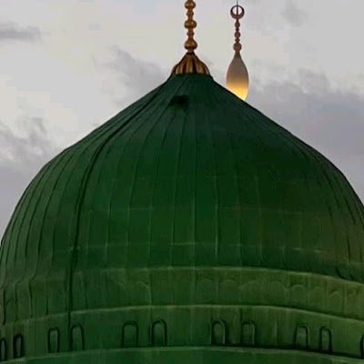 ShaheenSha82550's profile picture. 