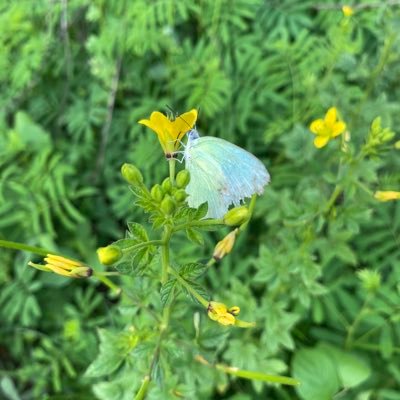 Log89783's profile picture. 