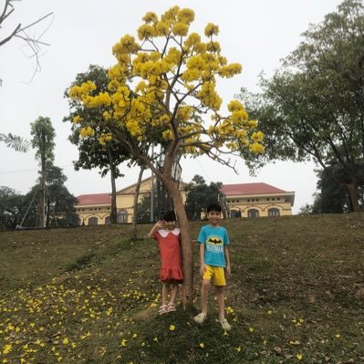 Tôi là 1 nhà đầu tư tiền điện tử và tôi cũng là một Stepner