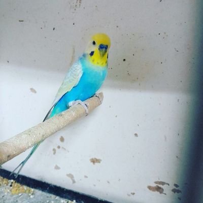 Kişiye özel mesaj yapilirBayanlarve evlicifler önceliğim.