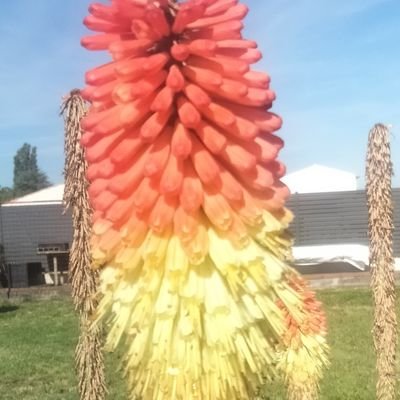 ludovicren52985's profile picture. 