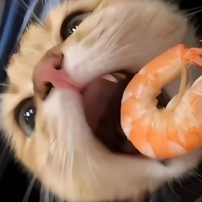 pumpkin47311's profile picture. 