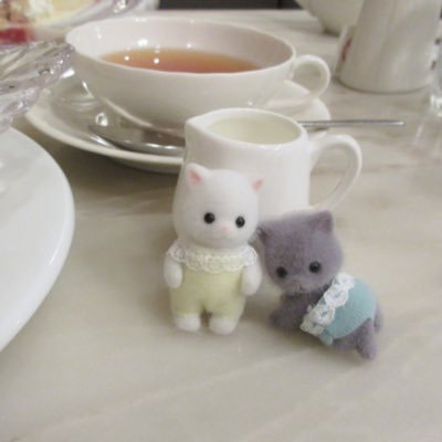 andyypakpak's profile picture. ⋆𐙚₊˚⊹ ᡣ𐭩