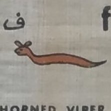 saezuruaoitori's profile picture. 人に言えたような内容じゃないけど、時々思い出してはまた大事に胸にしまいなおす素敵な思い出があります