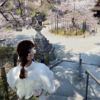 美神ゆめ (@yumeyumespa) Twitter profile photo