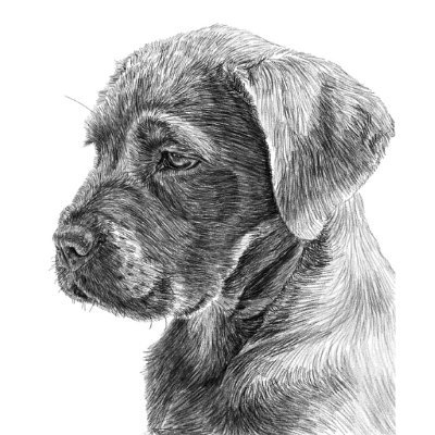 lxioxio117511's profile picture. Cool