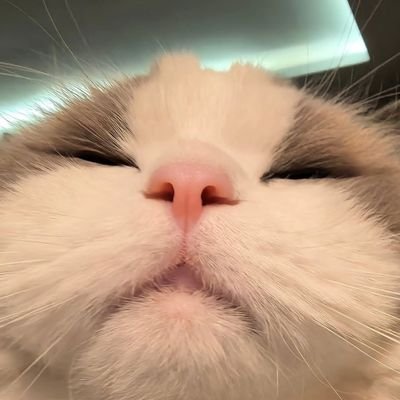 HidingNakle's profile picture. Hiding