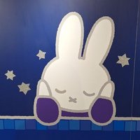 ぴょん (@pyon_asm) 's Twitter Profile