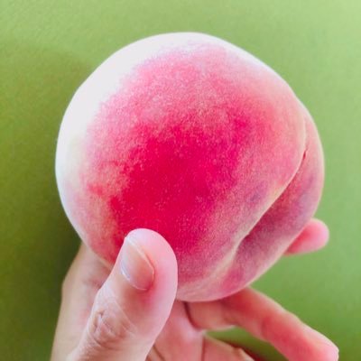 Amanekumane's profile picture. こっそり生存。日常。議論しません。数日前に短歌はじめました。