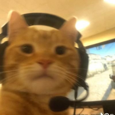 @viciouslul