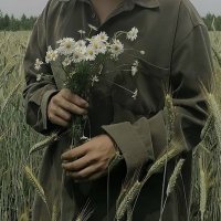 Coreforb🌹🇳🇱 (@coreforb) 's Twitter Profile