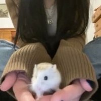 viva la vida (@weeb45561940) 's Twitter Profile