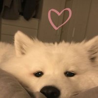 ๐๐ข๐๐ฑ๐ฎ๐๐ฉ๐_ (@zeerna1657) 's Twitter Profile