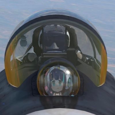 I love Hololive and Aviation / diagnosed Autist / 20yo