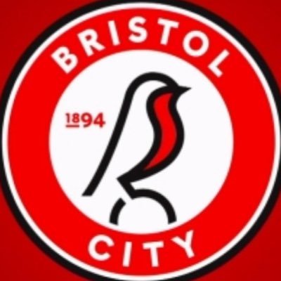 VFLBristol_City's profile picture. @THEVFL_ Bristol City |  @VTKieran / @jvshyyy6783
