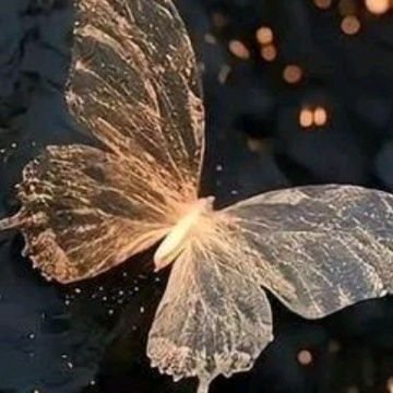 aseqcxznfd's profile picture. الحمدلله