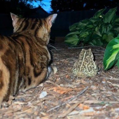 justreyhanlearn's profile picture. im learning English via News Pages.

🎒📚🔖