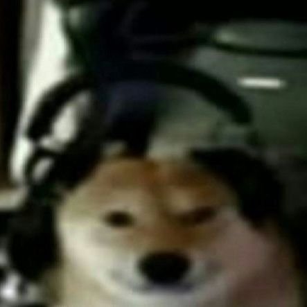 KA_boo0o0m__'s profile picture. 