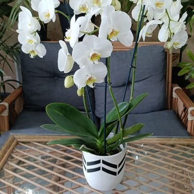 MATEMATiK_MESUT's profile picture. Matematik Ögretmeni