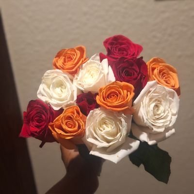 lasisieniola2's profile picture. Sleep lover 😫
Sagittarius🗣️😍😍🗣️ 💯💯
A realist.